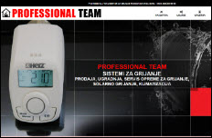 PROFESSIONAL-TEAM