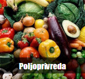 Poljoprivreda